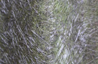 Sherston fibreglass roof work